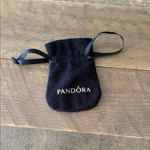 Pandora Velvet Pouch